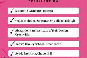 Top Cosmetology Schools in NC: 2024 Guide Best Schools in America: Top Public & Private Options Top Cosmetology Schools in NC: 2024 Guide | Best Schools in America: Top Public & Private Options