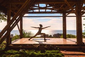 Top 10 Best Yoga Schools In The World 2024 Best Schools in America: Top Public & Private Options Top 10 Best Yoga Schools In The World 2024 | Best Schools in America: Top Public & Private Options
