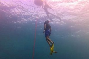 Top Freediving Schools in the Philippines 2024 Best Schools in America: Top Public & Private Options Top Freediving Schools in the Philippines 2024 | Best Schools in America: Top Public & Private Options