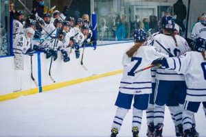 Top US Prep Schools for Hockey Excellence Best Schools in America: Top Public & Private Options Top US Prep Schools for Hockey Excellence | Best Schools in America: Top Public & Private Options