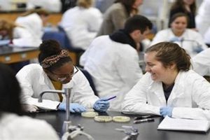 Top Pre Med Schools in Florida: 2024 Guide Best Schools in America: Top Public & Private Options Top Pre Med Schools in Florida: 2024 Guide | Best Schools in America: Top Public & Private Options