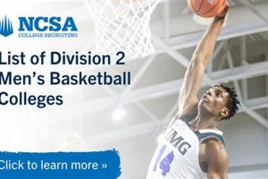 Division 2 Schools For Basketball Best Schools in America: Top Public & Private Options Division 2 Schools For Basketball | Best Schools in America: Top Public & Private Options