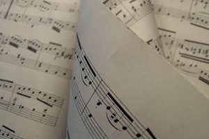 Top Music Schools in Colorado: A 2024 Guide Best Schools in America: Top Public & Private Options Top Music Schools in Colorado: A 2024 Guide | Best Schools in America: Top Public & Private Options