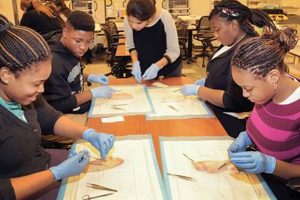 Exploring Allied Health Careers in High School Best Schools in America: Top Public & Private Options Exploring Allied Health Careers in High School | Best Schools in America: Top Public & Private Options