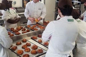 Top 10 Best Baking Schools In The World 2024 Best Schools in America: Top Public & Private Options Top 10 Best Baking Schools In The World 2024 | Best Schools in America: Top Public & Private Options