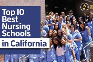 Top 5 CRNA Schools in California (2024) Best Schools in America: Top Public & Private Options Top 5 CRNA Schools in California (2024) | Best Schools in America: Top Public & Private Options