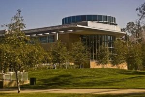 Top Marine Biology Schools in California 2024 Best Schools in America: Top Public & Private Options Top Marine Biology Schools in California 2024 | Best Schools in America: Top Public & Private Options