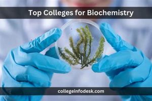 Top Best Schools for Biochemistry Programs 2024 Best Schools in America: Top Public & Private Options Top Best Schools for Biochemistry Programs 2024 | Best Schools in America: Top Public & Private Options