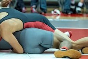 Top 10 Best D2 Wrestling Schools: Guide Best Schools in America: Top Public & Private Options Top 10 Best D2 Wrestling Schools: Guide | Best Schools in America: Top Public & Private Options