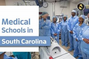 Top Medical Schools in South Carolina 2024 Best Schools in America: Top Public & Private Options Top Medical Schools in South Carolina 2024 | Best Schools in America: Top Public & Private Options