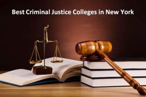 Top Criminal Justice Schools in NY: 2024 Guide Best Schools in America: Top Public & Private Options Top Criminal Justice Schools in NY: 2024 Guide | Best Schools in America: Top Public & Private Options