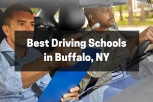 Top 5 Best Driving Schools in Buffalo, NY Best Schools in America: Top Public & Private Options Top 5 Best Driving Schools in Buffalo, NY | Best Schools in America: Top Public & Private Options