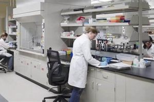 Top 10 Best Chemistry Schools: 2024 Guide Best Schools in America: Top Public & Private Options Top 10 Best Chemistry Schools: 2024 Guide | Best Schools in America: Top Public & Private Options