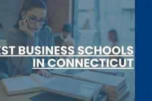 Top Business Schools in Connecticut 2024 Best Schools in America: Top Public & Private Options Top Business Schools in Connecticut 2024 | Best Schools in America: Top Public & Private Options