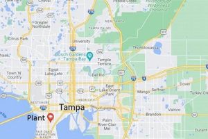 Top-Rated Best Schools Near Tampa, FL Best Schools in America: Top Public & Private Options Top-Rated Best Schools Near Tampa, FL | Best Schools in America: Top Public & Private Options