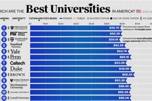 Top US Economics Schools: 2024 Rankings Best Schools in America: Top Public & Private Options Top US Economics Schools: 2024 Rankings | Best Schools in America: Top Public & Private Options