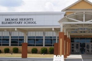Top Elementary Schools in Florence, SC: A Guide Best Schools in America: Top Public & Private Options Top Elementary Schools in Florence, SC: A Guide | Best Schools in America: Top Public & Private Options