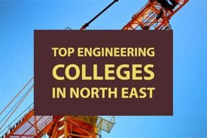 Top 10 Engineering Schools in the Northeast US Best Schools in America: Top Public & Private Options Top 10 Engineering Schools in the Northeast US | Best Schools in America: Top Public & Private Options