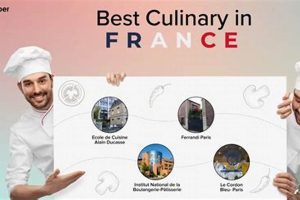 Top 5 Best Cooking Schools in France 2024 Best Schools in America: Top Public & Private Options Top 5 Best Cooking Schools in France 2024 | Best Schools in America: Top Public & Private Options