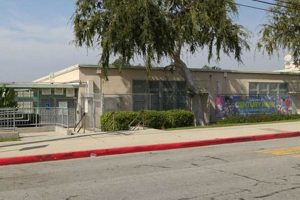 Top Inglewood Elementary Schools: A Guide Best Schools in America: Top Public & Private Options Top Inglewood Elementary Schools: A Guide | Best Schools in America: Top Public & Private Options