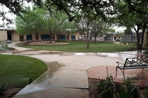 Top El Paso Private Schools: 2024 Guide Best Schools in America: Top Public & Private Options Top El Paso Private Schools: 2024 Guide | Best Schools in America: Top Public & Private Options