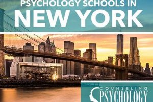 Top NC Psychology Schools & Programs Best Schools in America: Top Public & Private Options Top NC Psychology Schools & Programs | Best Schools in America: Top Public & Private Options