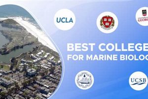 Top Marine Biology Grad Schools & Programs Best Schools in America: Top Public & Private Options Top Marine Biology Grad Schools & Programs | Best Schools in America: Top Public & Private Options