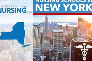Top 10 Best Nursing Schools in NYC 2024 Best Schools in America: Top Public & Private Options Top 10 Best Nursing Schools in NYC 2024 | Best Schools in America: Top Public & Private Options