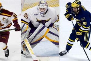 Top 10 Best Hockey Schools: Ultimate Guide Best Schools in America: Top Public & Private Options Top 10 Best Hockey Schools: Ultimate Guide | Best Schools in America: Top Public & Private Options