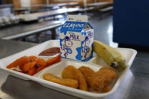 NYC Public Schools Lunch Menu: A Guide Best Schools in America: Top Public & Private Options NYC Public Schools Lunch Menu: A Guide | Best Schools in America: Top Public & Private Options