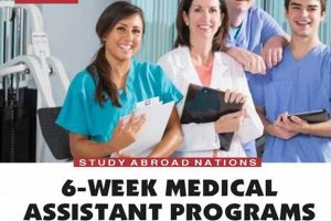 Top 10 Best Physician Assistant Schools: 2024 Guide Best Schools in America: Top Public & Private Options Top 10 Best Physician Assistant Schools: 2024 Guide | Best Schools in America: Top Public & Private Options