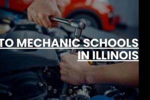 Top Automotive Schools in Illinois: 2024 Guide Best Schools in America: Top Public & Private Options Top Automotive Schools in Illinois: 2024 Guide | Best Schools in America: Top Public & Private Options