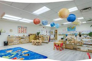 Top Montessori Schools in Toronto & GTA Best Schools in America: Top Public & Private Options Top Montessori Schools in Toronto & GTA | Best Schools in America: Top Public & Private Options