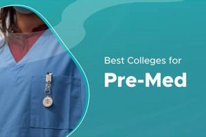 Top 10 Best Pre-Med Schools: 2024 Guide Best Schools in America: Top Public & Private Options Top 10 Best Pre-Med Schools: 2024 Guide | Best Schools in America: Top Public & Private Options