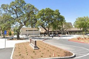 Top Bay Area Middle Schools: 2024 Guide Best Schools in America: Top Public & Private Options Top Bay Area Middle Schools: 2024 Guide | Best Schools in America: Top Public & Private Options