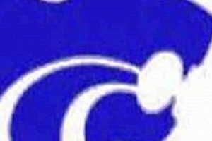 Wilson Central HS Football: Wildcats Updates & News Best Schools in America: Top Public & Private Options Wilson Central HS Football: Wildcats Updates & News | Best Schools in America: Top Public & Private Options
