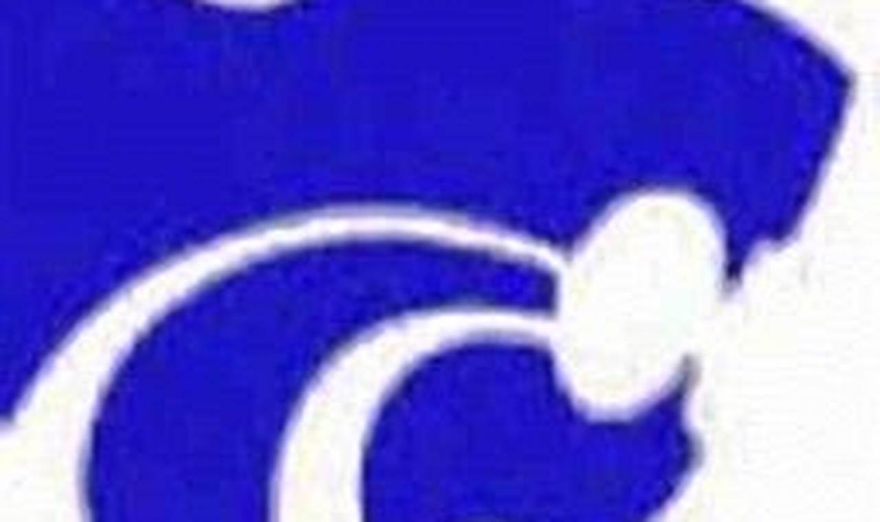 Wilson Central HS Football: Wildcats Updates & News Best Schools in America: Top Public & Private Options Wilson Central HS Football: Wildcats Updates & News | Best Schools in America: Top Public & Private Options