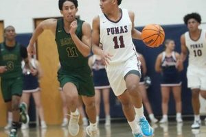 AZ High School Basketball Scores & Schedules Best Schools in America: Top Public & Private Options AZ High School Basketball Scores & Schedules | Best Schools in America: Top Public & Private Options