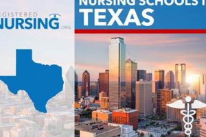 Top Texas Nursing Schools: Find Your Best Fit Best Schools in America: Top Public & Private Options Top Texas Nursing Schools: Find Your Best Fit | Best Schools in America: Top Public & Private Options