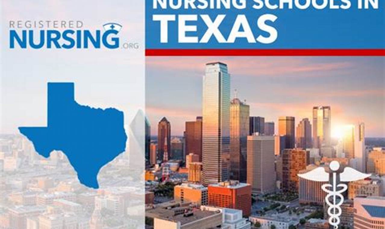 Top Texas Nursing Schools: Find Your Best Fit Best Schools in America: Top Public & Private Options Top Texas Nursing Schools: Find Your Best Fit | Best Schools in America: Top Public & Private Options