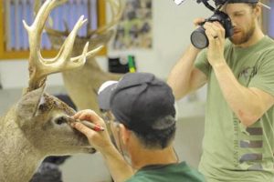 Find the Best Taxidermy Schools Near You Best Schools in America: Top Public & Private Options Find the Best Taxidermy Schools Near You | Best Schools in America: Top Public & Private Options