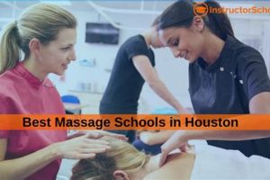 Top Massage Therapy Schools in Houston, TX Best Schools in America: Top Public & Private Options Top Massage Therapy Schools in Houston, TX | Best Schools in America: Top Public & Private Options