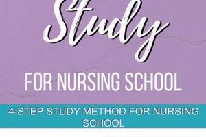 Ultimate Nursing School Study Guide & Tips Best Schools in America: Top Public & Private Options Ultimate Nursing School Study Guide & Tips | Best Schools in America: Top Public & Private Options