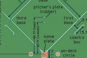 High School Softball: Pitching Distance Rules & Tips Best Schools in America: Top Public & Private Options High School Softball: Pitching Distance Rules & Tips | Best Schools in America: Top Public & Private Options