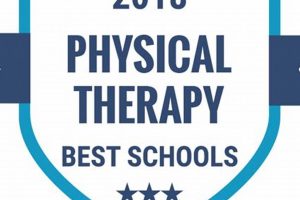 Top Physical Therapy Schools: Best DPT Programs Best Schools in America: Top Public & Private Options Top Physical Therapy Schools: Best DPT Programs | Best Schools in America: Top Public & Private Options
