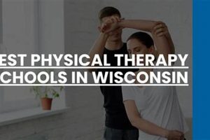 Top Physical Therapy Schools in Wisconsin: 2024 Guide Best Schools in America: Top Public & Private Options Top Physical Therapy Schools in Wisconsin: 2024 Guide | Best Schools in America: Top Public & Private Options