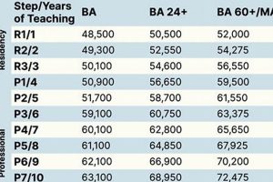 DeSoto County Schools Teacher Salary & Pay Scale Guide Best Schools in America: Top Public & Private Options DeSoto County Schools Teacher Salary & Pay Scale Guide | Best Schools in America: Top Public & Private Options