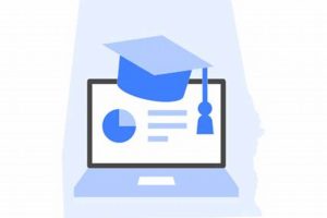 Top Business Schools in Alabama: 2024 Guide Best Schools in America: Top Public & Private Options Top Business Schools in Alabama: 2024 Guide | Best Schools in America: Top Public & Private Options