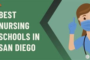 Top Nursing Schools in San Diego: 2024 Guide Best Schools in America: Top Public & Private Options Top Nursing Schools in San Diego: 2024 Guide | Best Schools in America: Top Public & Private Options