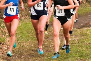 Your Guide to High School Cross Country Best Schools in America: Top Public & Private Options Your Guide to High School Cross Country | Best Schools in America: Top Public & Private Options